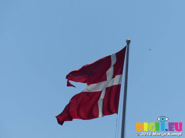 FZ031939 Danish flag